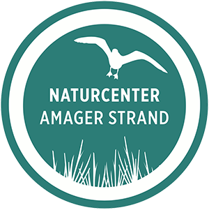 Logo - Naturcenter Amager Strand