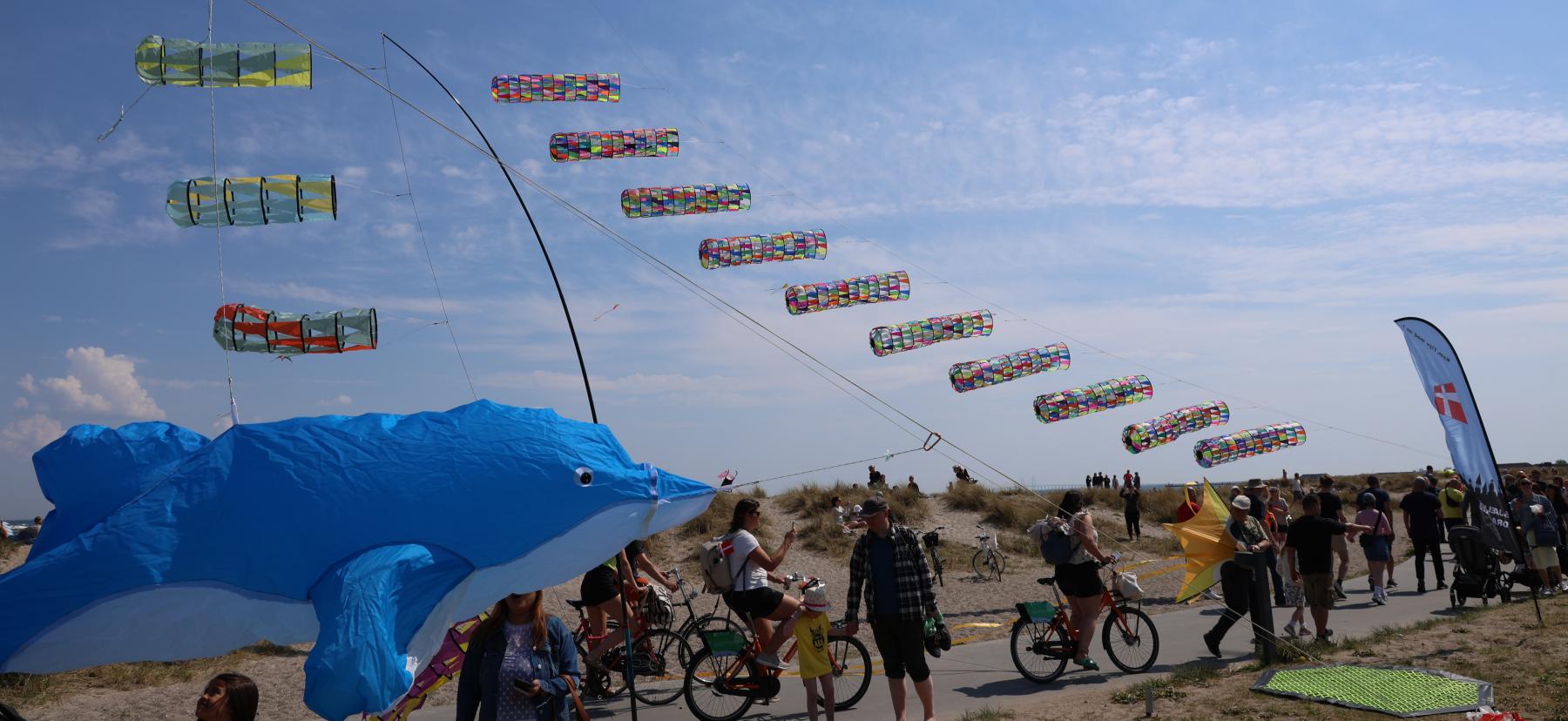 Drager på stranden