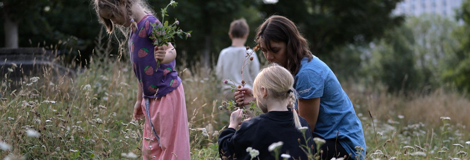 Børn undersøger smådyr og insekter