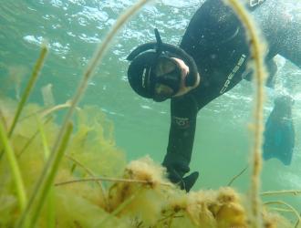 Snorkeltur